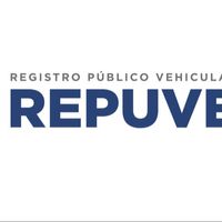 autoreporte